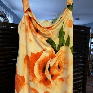 Xtaren Plus 3x maxi dress.  Fully lined